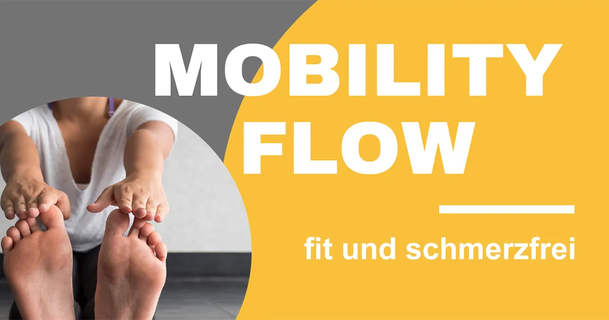 (c) Mobility-flow.de