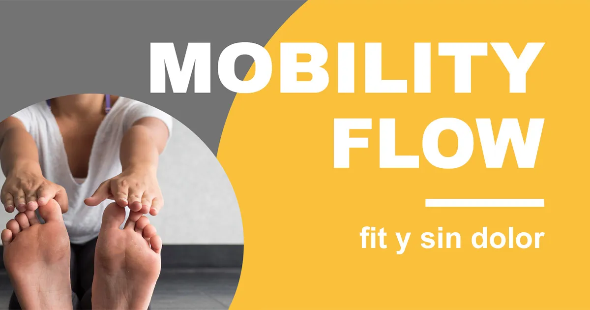 Mobility Flow - flexible y móvil